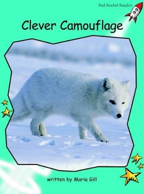 Clever Camouflage book