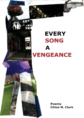 Every Song a Vengeance book