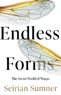 Endless Forms: The Secret World of Wasps by Seirian Sumner