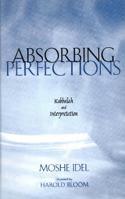 Absorbing Perfections book