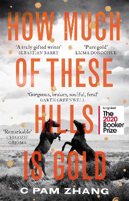 How Much of These Hills is Gold: ‘A tale of two sisters during the gold rush … beautifully written’ The i, Best Books of the Year by C Pam Zhang