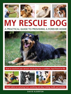 My Rescue Dog: A practical guide to providing a forever home: How to understand and transform your nervous rescue dog into a happy, confident, loyal friend for life; Expert advice on nurturing trust, obedience training, socialising, health and nutrition, and learning to play book