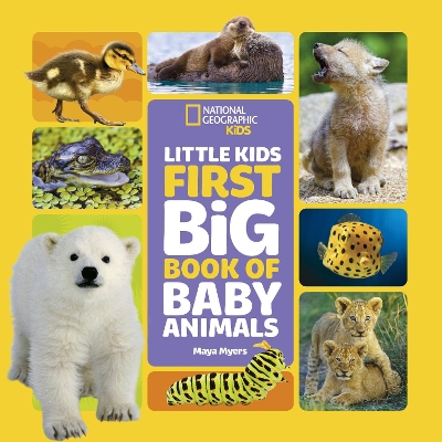 National Geographic Little Kids First Big Book of Baby Animals book