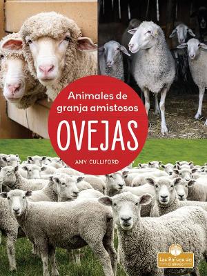 Ovejas (Sheep) by Amy Culliford