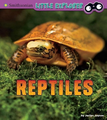 Reptiles by Jaclyn Jaycox