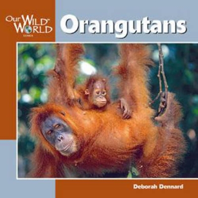 Orangutans book