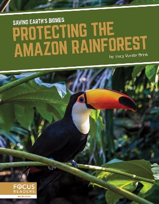 Protecting the Amazon Rainforest book