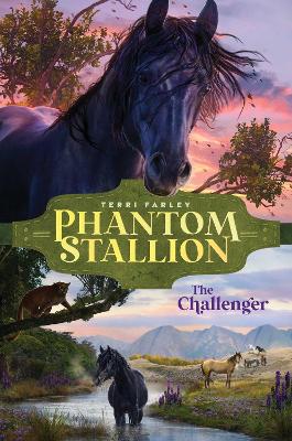 The Challenger: Volume 6 book