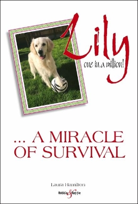 Lily: one in a million book