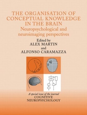 Organisation of Conceptual Knowledge in the Brain: Neuropsychological and Neuroimaging Perspectives by Alex Martin