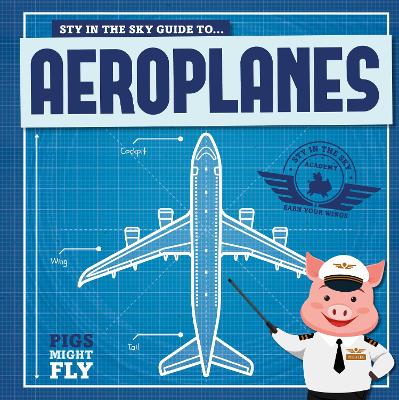 Aeroplanes by Kirsty Holmes