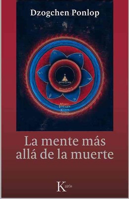 La Mente Más Allá de la Muerte book