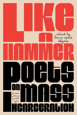 Like a Hammer: Poets on Mass Incarceration book