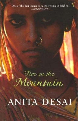 Fire On The Mountain book