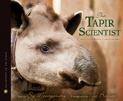 Tapir Scientist: Saving South America's Largest Mammal book