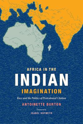 Africa in the Indian Imagination book