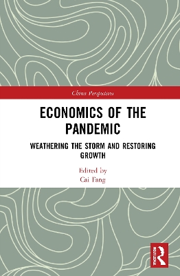 Economics of the Pandemic: Weathering the Storm and Restoring Growth book