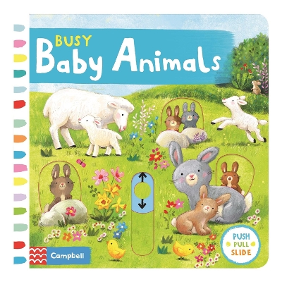 Busy Baby Animals: A Push, Pull, Slide Book book