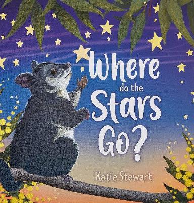 Where do the stars go? book