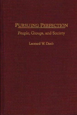 Pursuing Perfection book