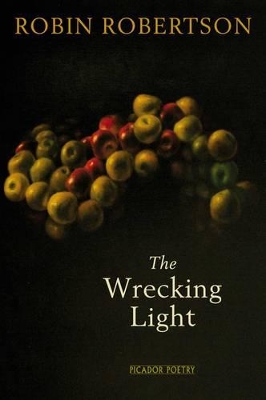 Wrecking Light book