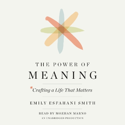 Power Of Meaning book
