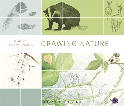 Drawing Nature book