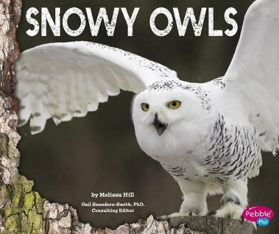 Snowy Owls by Melissa Hill