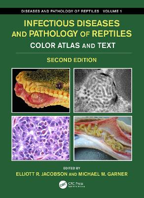 Infectious Diseases and Pathology of Reptiles: Color Atlas and Text, Diseases and Pathology of Reptiles Volume 1 book