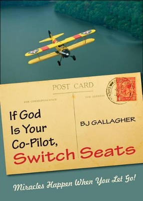 If God is Your Co-Pilot, Switch Seats book