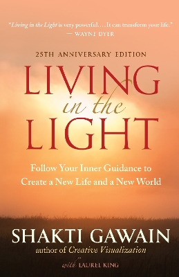 Living in the Light book