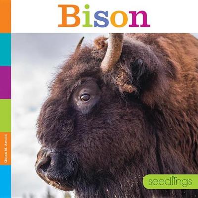 Bison book