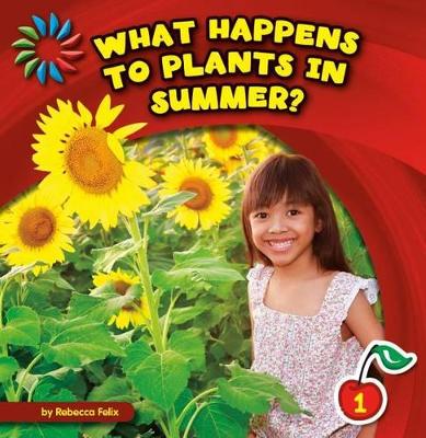 What Happens to Plants in Summer? book