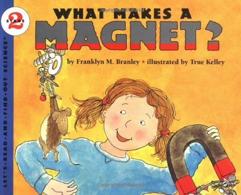 What Takes A Magnet book