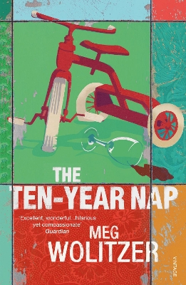 Ten-Year Nap book