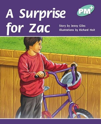 A Surprise for Zac book
