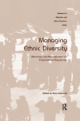 Managing Ethnic Diversity: Meanings and Practices from an International Perspective by Reza Hasmath