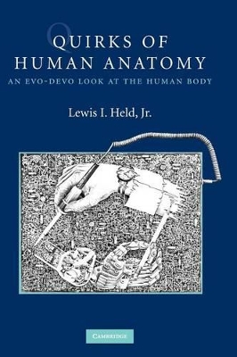 Quirks of Human Anatomy by Lewis I. Held, Jr