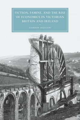 Fiction, Famine, and the Rise of Economics in Victorian Britain and Ireland book