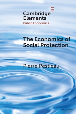 The Economics of Social Protection book