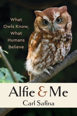 Alfie and Me: What Owls Know, What Humans Believe by Carl Safina