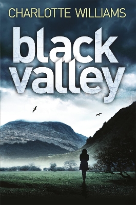 Black Valley book
