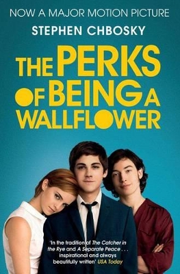 Perks of Being a Wallflower book
