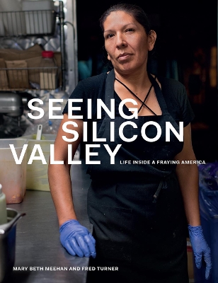 Seeing Silicon Valley: Life Inside a Fraying America book