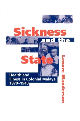 Sickness and the State by Lenore Manderson