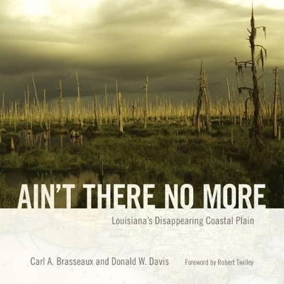 Ain't There No More by Carl A Brasseaux