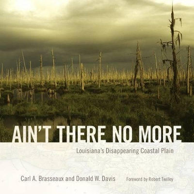 Ain't There No More book