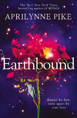 Earthbound book