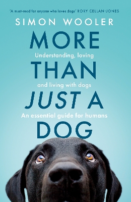 More Than Just a Dog: Understanding, loving and living with dogs. An essential guide for humans. book