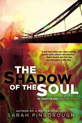 Shadow of the Soul book